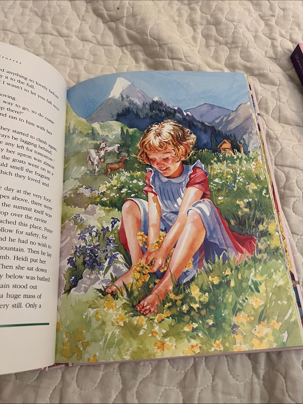 Great Girl Stories Hardcover Storybook Collection - Pink/Green